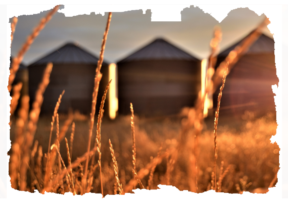 property-insurance
